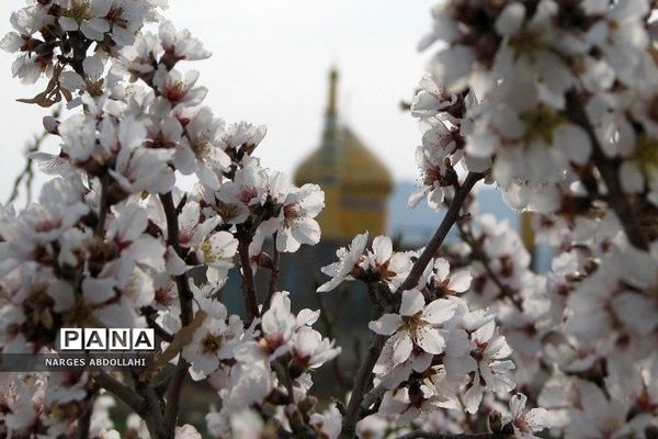 امامزاده یحیی ابن الحسین(ع) اسفندان