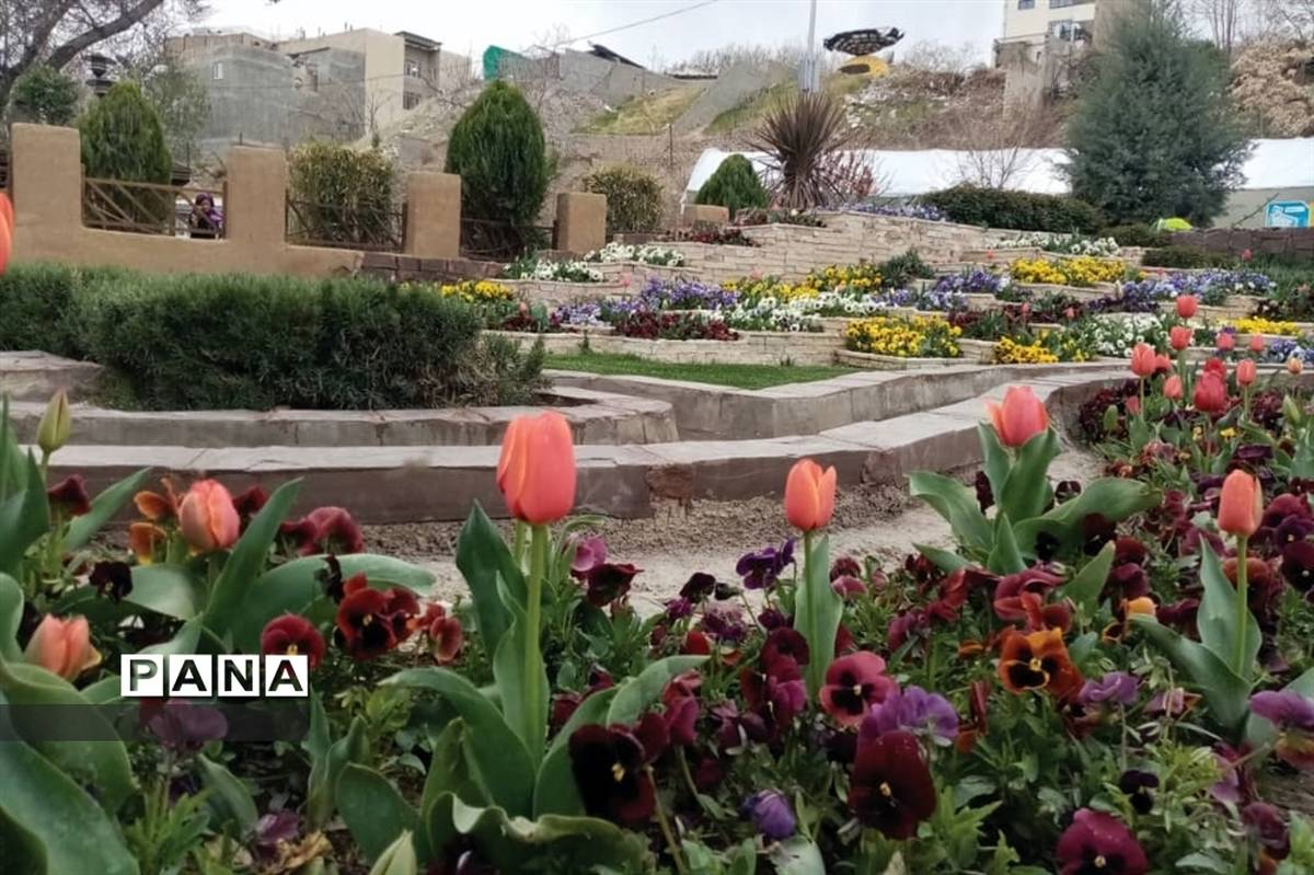 جشنواره گل‌های لاله در باغ گل ‌بوستان شهید چمران کرج