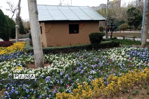 جشنواره گل‌های لاله در باغ گل ‌بوستان شهید چمران کرج