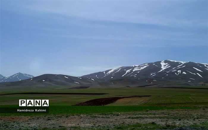 ٧٠٠ شرکت دانش‌بنیان در بخش منابع طبیعی شناسایی شدند