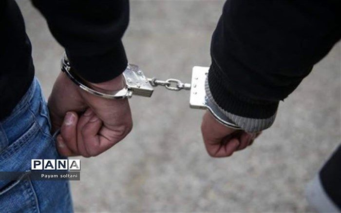 دستگیری ۲ سارق زورگیر در جنوب تهران