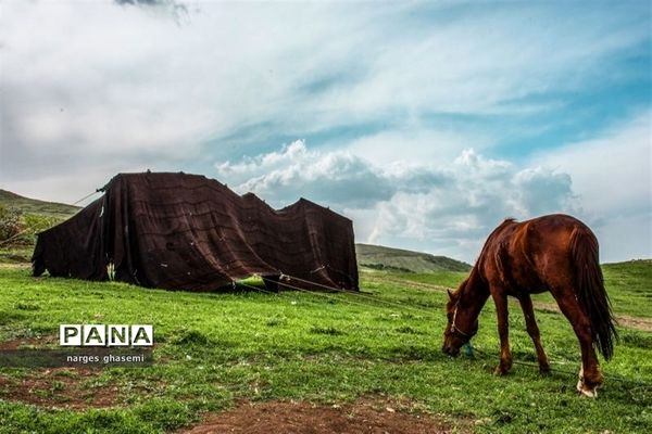 تصاویرمنتخب عکاسان دانش‌آموز کانون پرورش فکری کرمانشاه