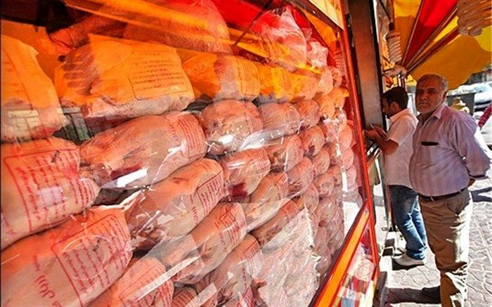 بیش از 4 هزار تن مرغ مازاد در بازار خریداری شده است