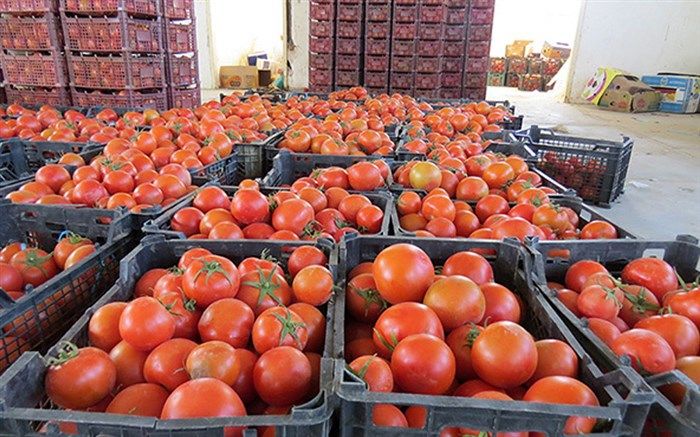 سهم 22 درصدی محصولات کشاورزی از صادرات آذربایجان شرقی