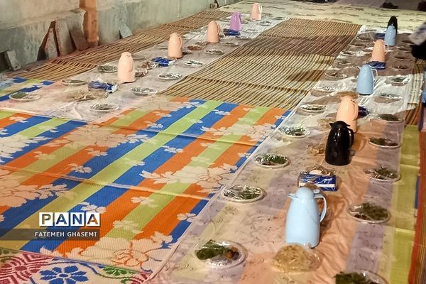 ضیافت افطاری و نشست صمیمی جمعی از نخبگان با امام جمعه شهرستان پردیس