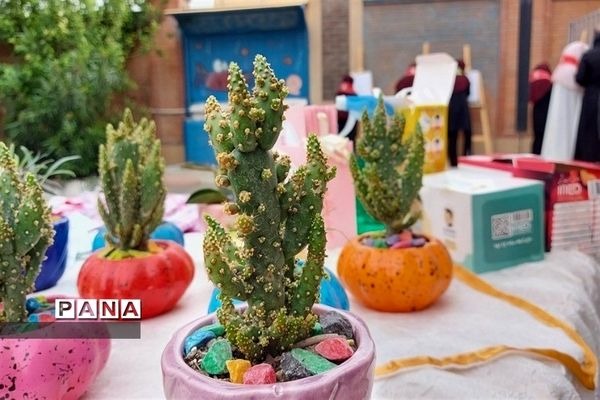 برگزاری مراسم سرمایه‌گذاری در زمین با کاهش پلاستیک در شهرستان بهارستان‌‌