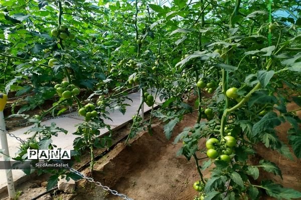 شوق انتخاب در بازدید دانش‌آموزان دبیرستان شاهد کاشمر از مرکز آموزش فنی و حرفه‌ای شهرستان