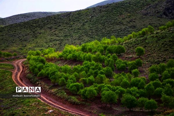 طبیعت بهاری آبگرم قزوین