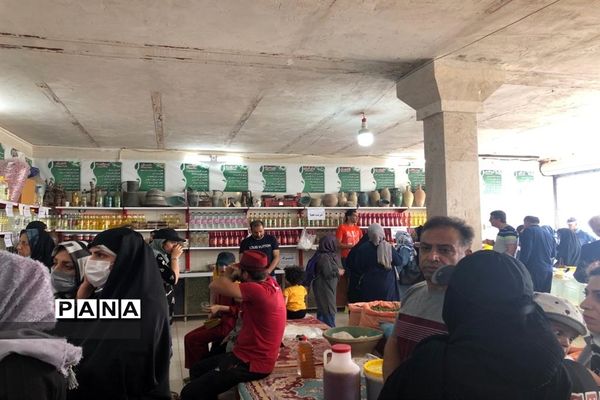 برگزاری مراسم گلاب گیری در کاشان