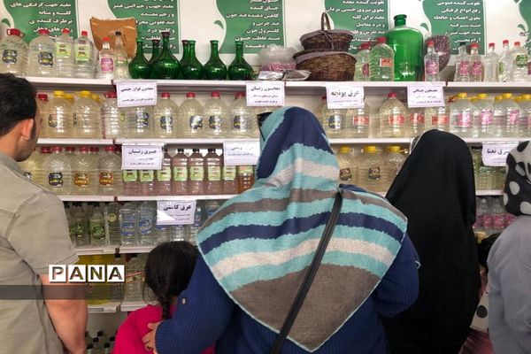 برگزاری مراسم گلاب گیری در کاشان