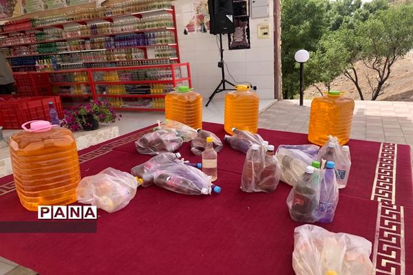 برگزاری مراسم گلاب گیری در کاشان