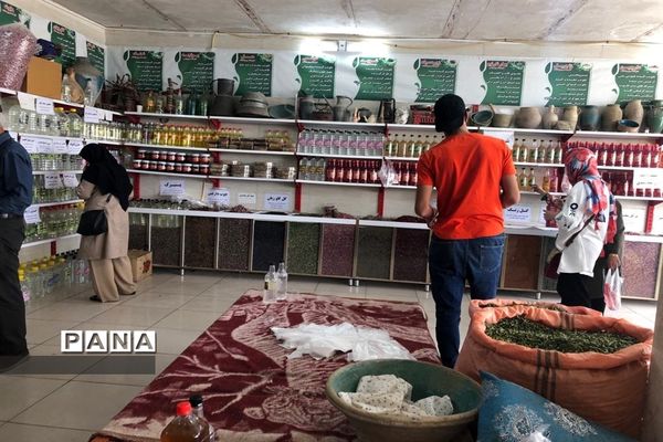 برگزاری مراسم گلاب گیری در کاشان