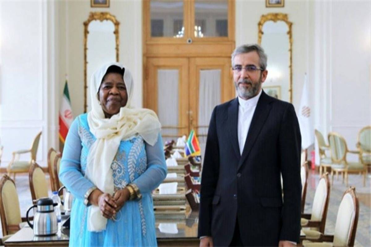 باقری با معاون وزیر خارجه جمهوری آفریقای جنوبی دیدار کرد