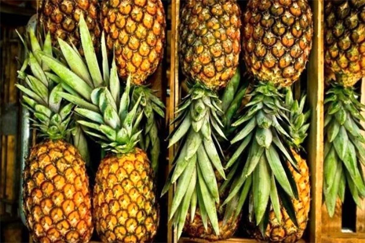چربی‌سوزی به کمک برگ‌های مفید آناناس