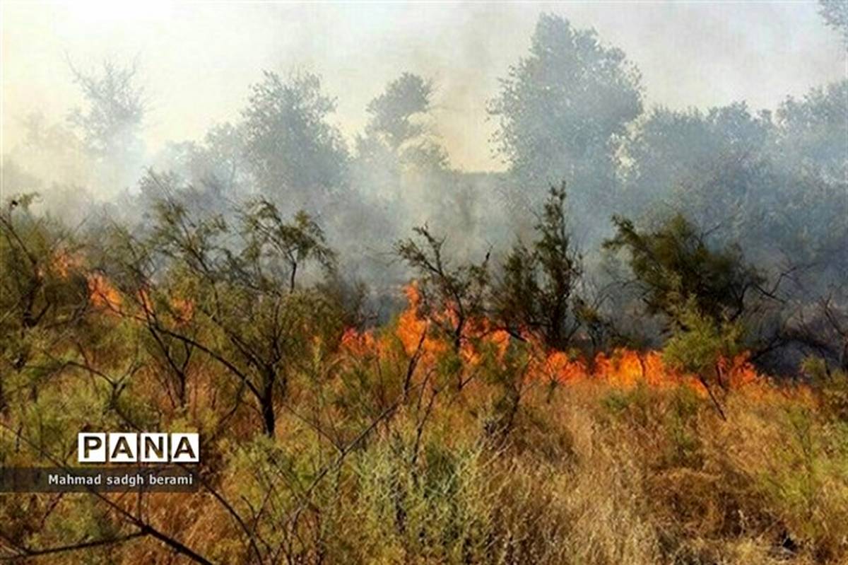 آتش‌سوزی جنگل‌های حمیدیه بررسی شود