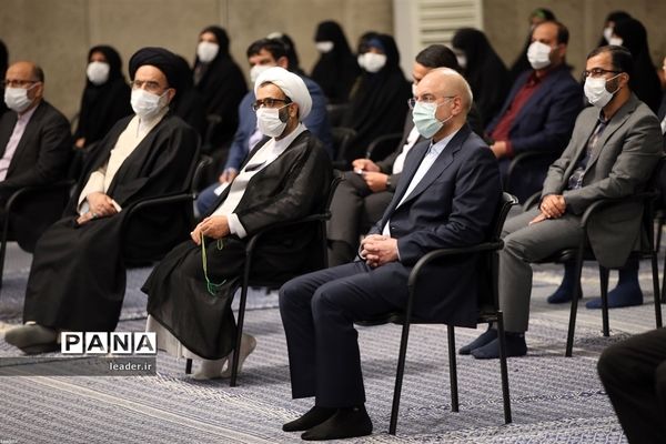 دیدار رئیس و نمایندگان مجلس شورای اسلامی با رهبر انقلاب