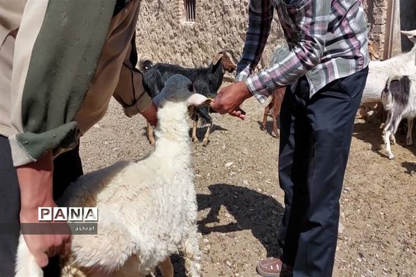 ‌امتداد جهاد مسئولین در روستاها