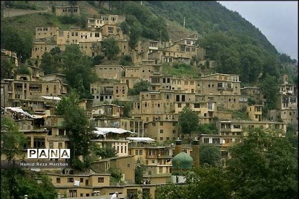 گلابگیری درمنطقه نیاسرشهرستان کاشان