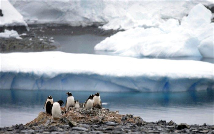 کشف یک منطقه عجیب در قطب جنوب