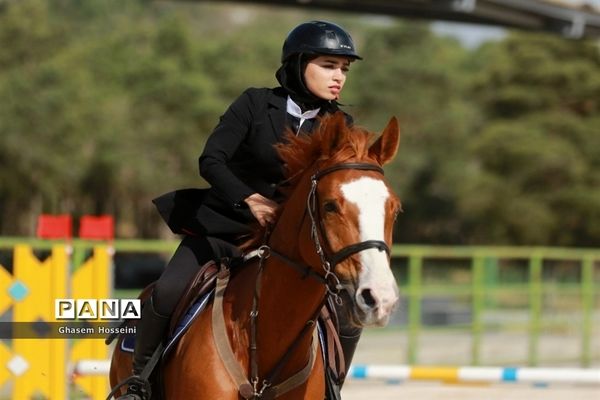 برگزاری مسابقات پرش با اسب در پارک چیتگر