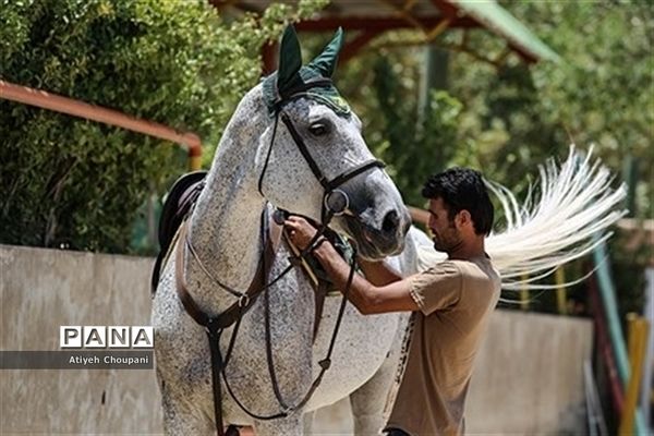 برگزاری مسابقات پرش با اسب در پارک چیتگر