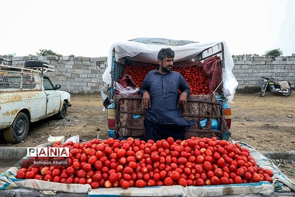 زندگی در چابهار جریان دارد