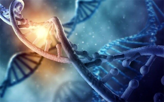 چگونه با کمک DNA کوچکترین آنتن جهان ساخته شد