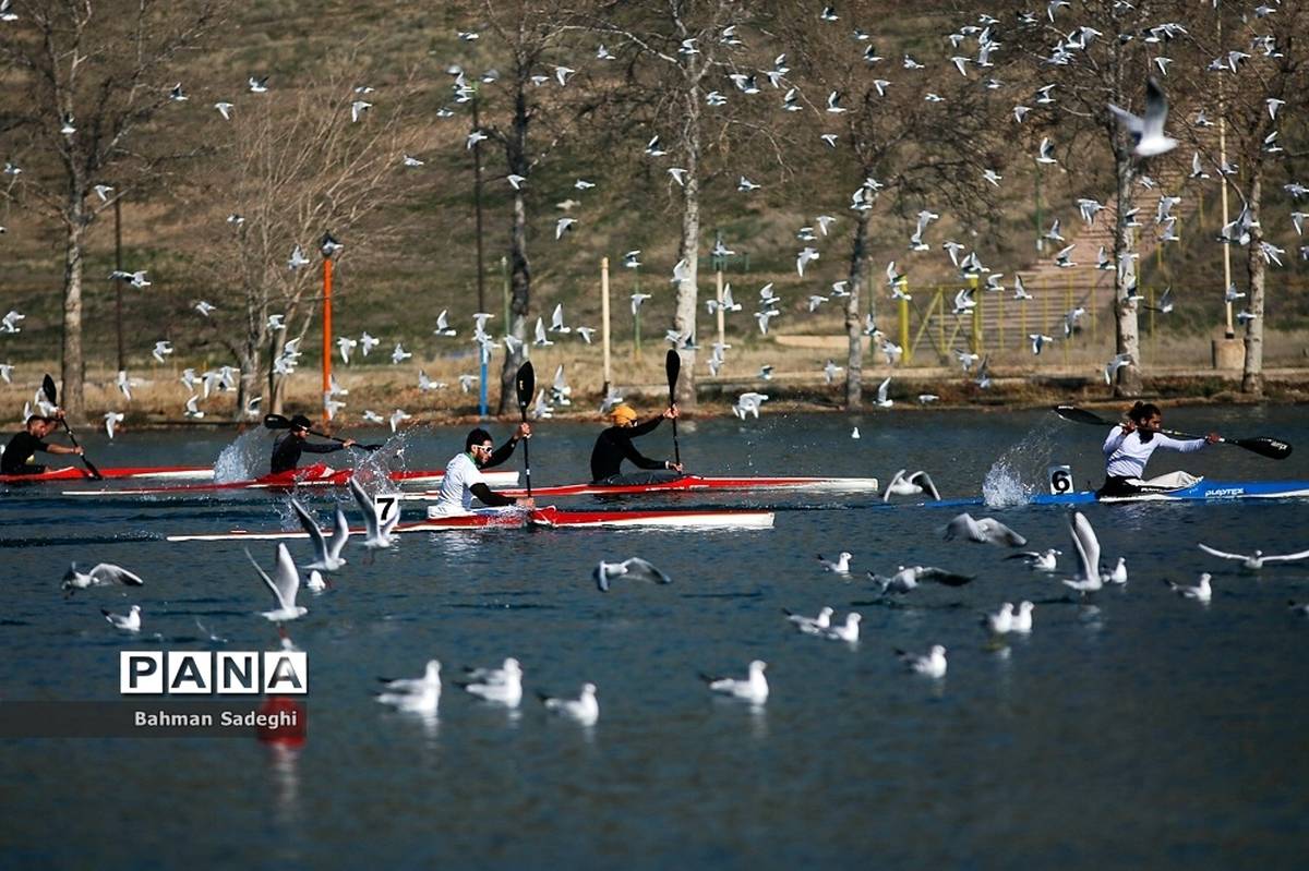 مسابقات لیگ برتر قایقرانی  آبهای آرام