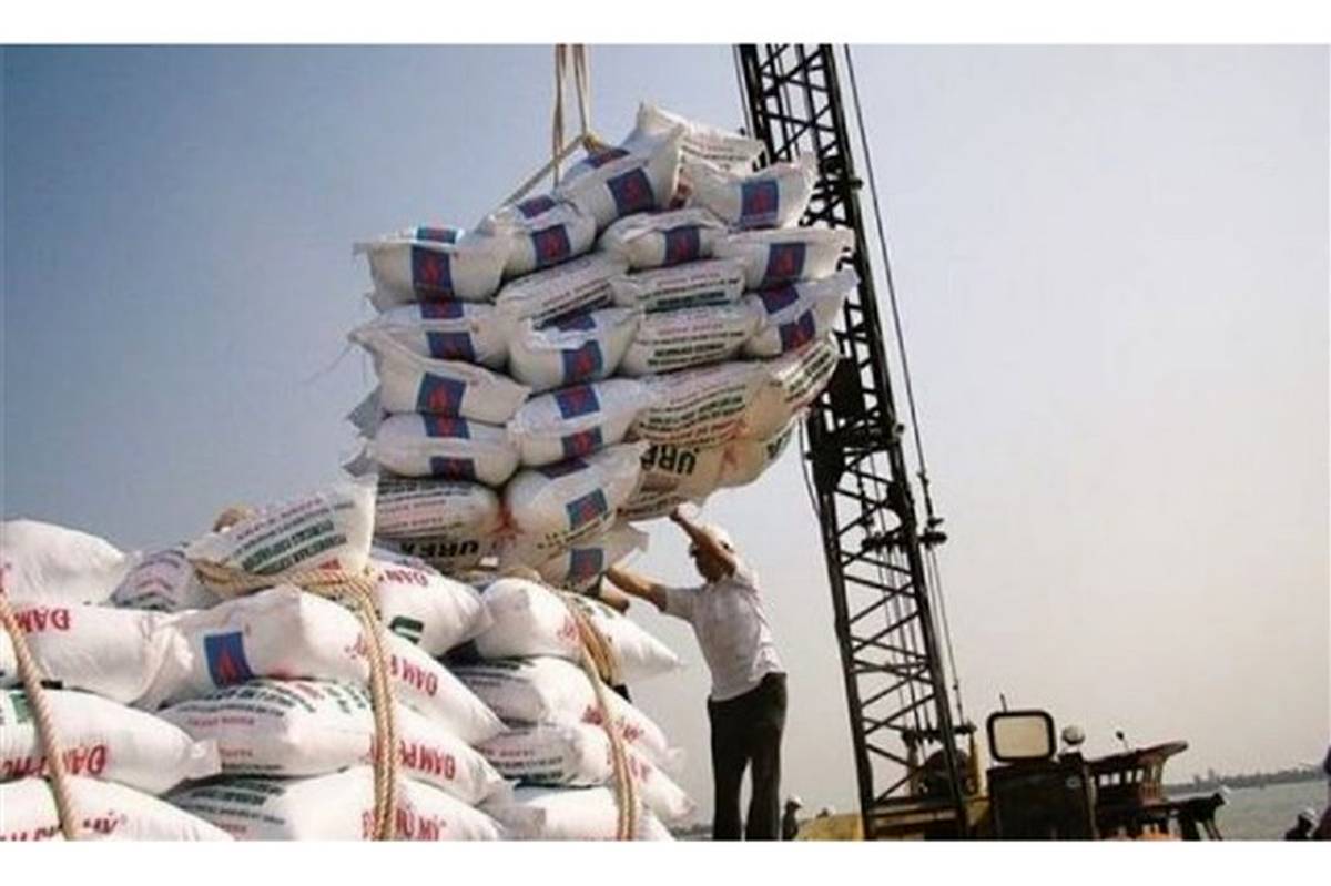 ۱۰۰ هزارتن برنج وارداتی برای کنترل قیمت‌ها توزیع می‌شود