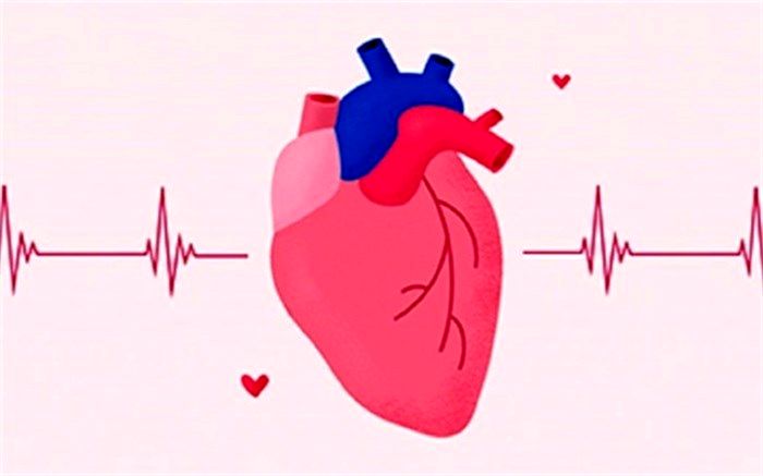 روش‌هایی برای کنترل تپش قلب