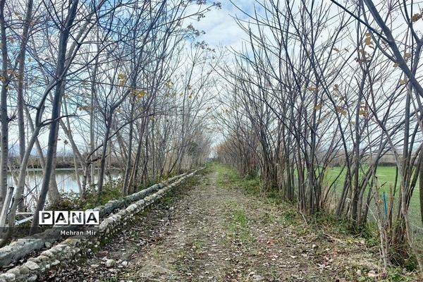 جلسه روسای ادارات دانش‌آموزی شهرستان‌های گلستان