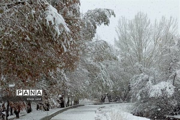 بارش برف در فریدونشهر اصفهان