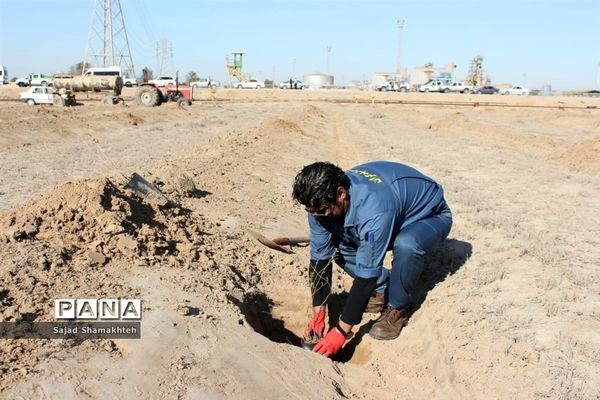 عملیات اجرایی طرح ۲۰۰۰ هکتاری بیابان زدایی و کاشت نهال در استان خوزستان