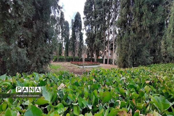 فین، مشهورترین باغ ایرانی در دل کویر کاشان