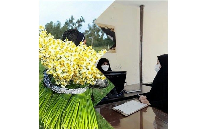 «ماژین» مستعد صادرات  گل نرگس است
