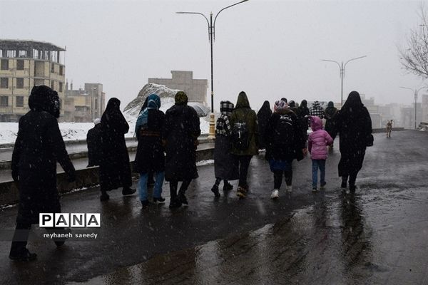 همایش پیاده‌روی در شهرستان دماوند