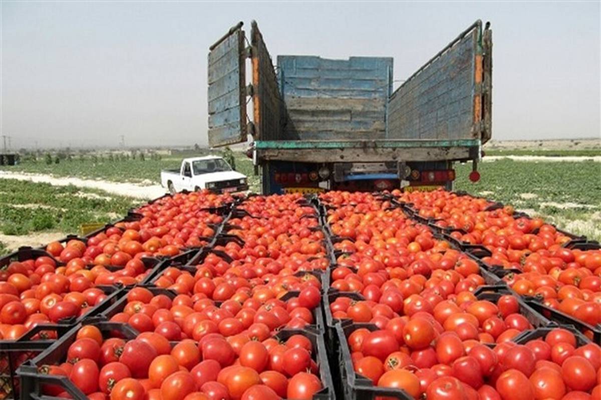 صادرات ۱۰ هزار تنی محصول کشاورزی از آذربایجان‌شرقی