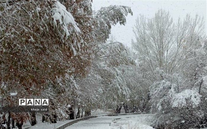 ادامه بارش برف و باران درکشور؛آسمان پایتخت ابری است