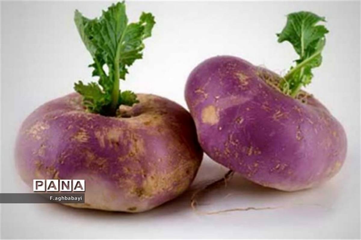 فواید بینظیر شلغم
