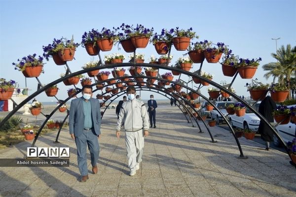 همایش پیاده‌روی همکاران فرهنگی در بوشهر