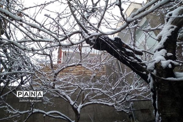 طبیعت برفی و هوای پاک در روستای بیدهند قم