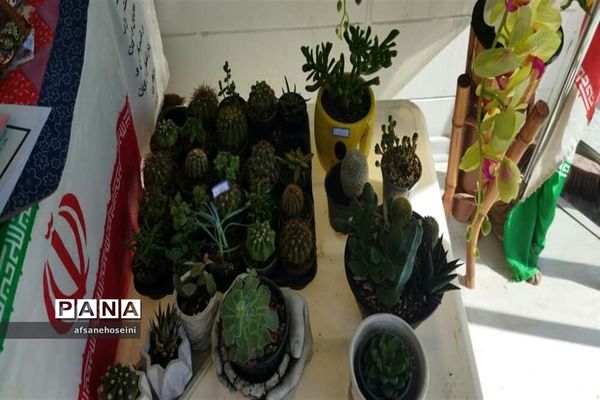 برپایی نمایشگاه توانمندی‌ها و دستاوردهای بانوان در فیروزکوه