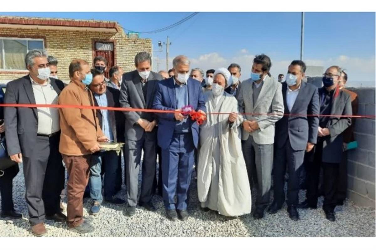 نخستین مزرعه پاپایا در استان تهران افتتاح شد