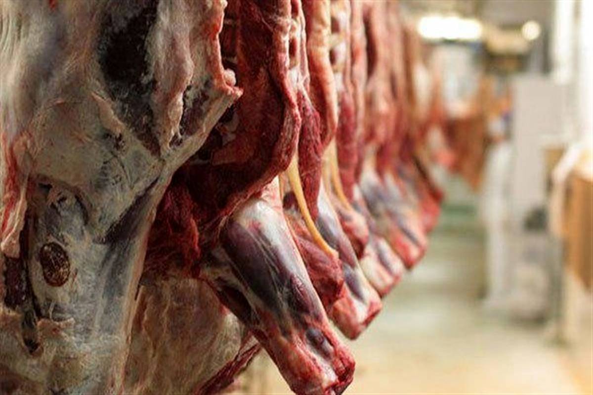 عرضه انواع گوشت قرمز با قیمت مناسب