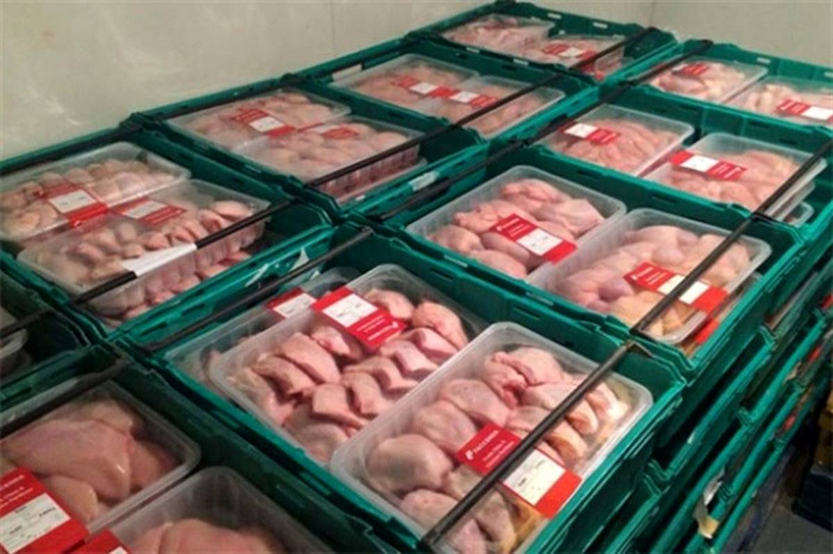 عرضه ۲۰۱ هزار تن گوشت انواع طیور در کشتارگاه‌ها