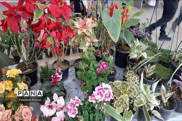 افتتاح بازارچه مشاغل خانگی در آباده