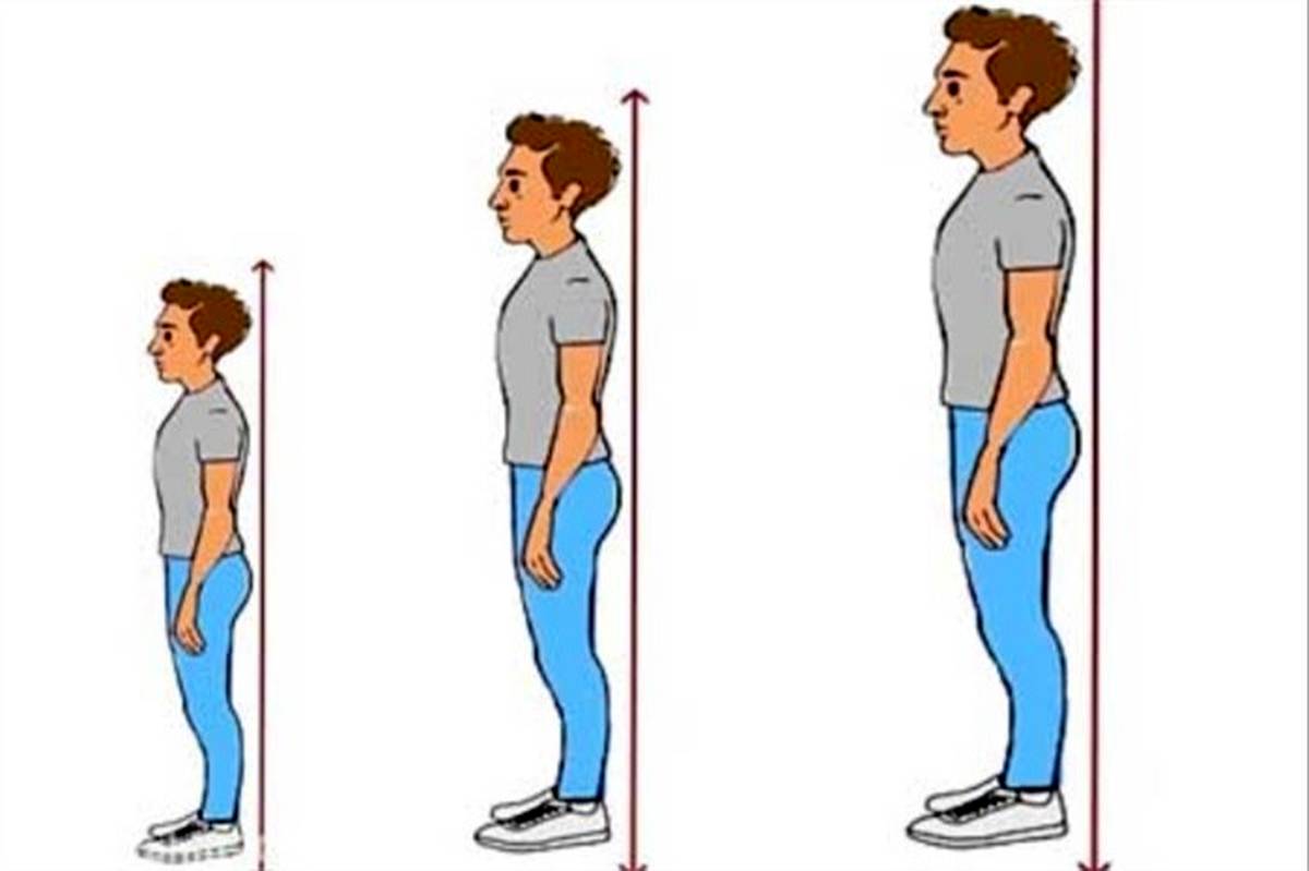 افزایش قد با مصرف 7 ماده غذایی
