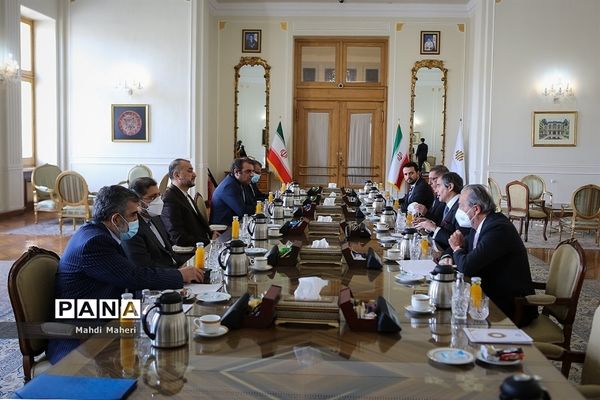 دیدار وزیرامورخارجه ایران با مدیرکل آژانس بین المللی انرژی اتمی