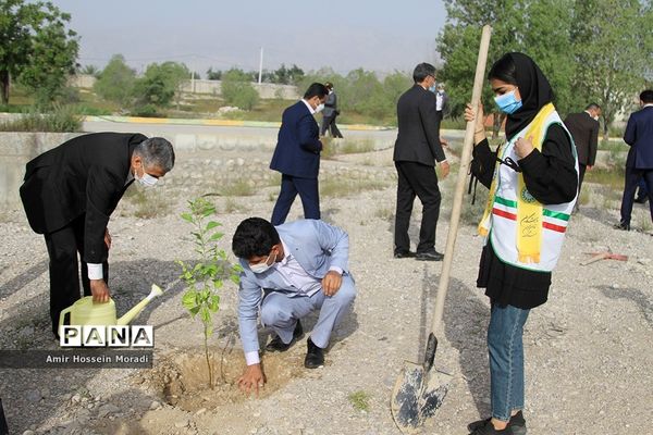 آئین کاشت 1500 اصله نهال در هرمزگان