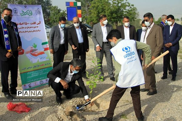 آئین کاشت 1500 اصله نهال در هرمزگان